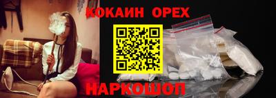 гашик Кандалакша