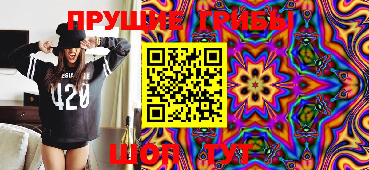 Галлюциногенные грибы Psilocybe Электрогорск