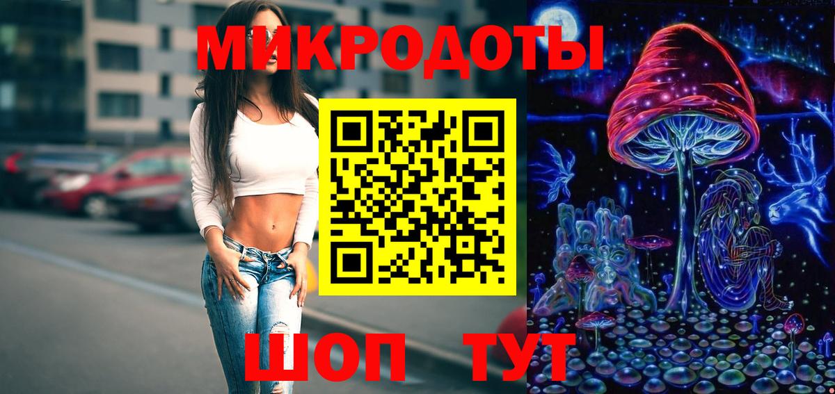 Псилоцибиновые грибы Psilocybe  Вход с VPN  Электрогорск 